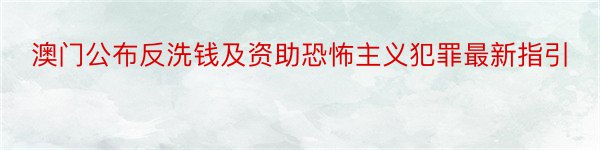 澳门公布反洗钱及资助恐怖主义犯罪最新指引