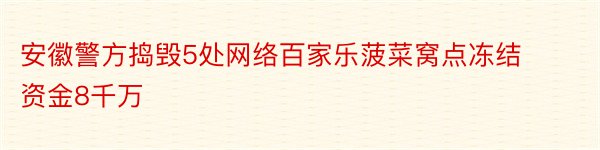 安徽警方捣毁5处网络百家乐菠菜窝点冻结资金8千万