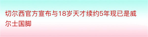 切尔西官方宣布与18岁天才续约5年现已是威尔士国脚