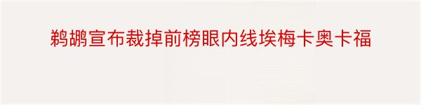 鹈鹕宣布裁掉前榜眼内线埃梅卡奥卡福