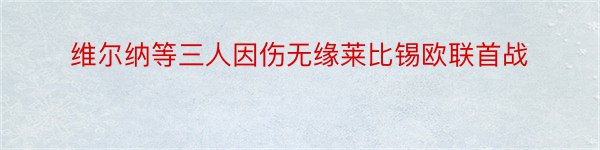 维尔纳等三人因伤无缘莱比锡欧联首战