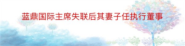 蓝鼎国际主席失联后其妻子任执行董事