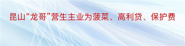 昆山“龙哥”营生主业为菠菜、高利贷、保护费