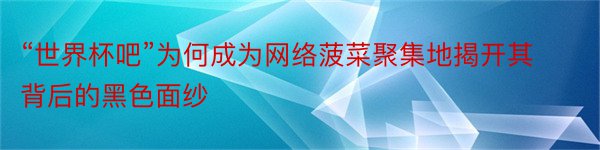 “世界杯吧”为何成为网络菠菜聚集地揭开其背后的黑色面纱