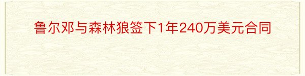 鲁尔邓与森林狼签下1年240万美元合同