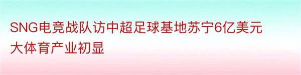 SNG电竞战队访中超足球基地苏宁6亿美元大体育产业初显