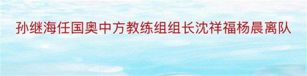 孙继海任国奥中方教练组组长沈祥福杨晨离队