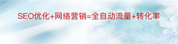 SEO优化+网络营销=全自动流量+转化率