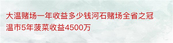 大温赌场一年收益多少钱河石赌场全省之冠温市5年菠菜收益4500万