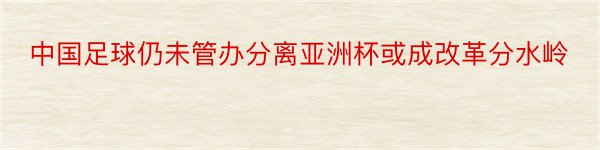 中国足球仍未管办分离亚洲杯或成改革分水岭