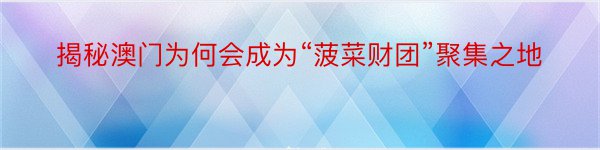 揭秘澳门为何会成为“菠菜财团”聚集之地