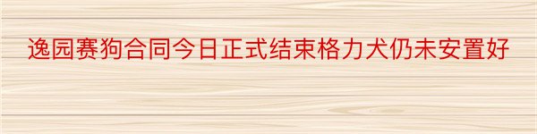 逸园赛狗合同今日正式结束格力犬仍未安置好