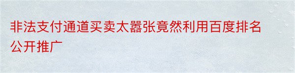 非法支付通道买卖太嚣张竟然利用百度排名公开推广