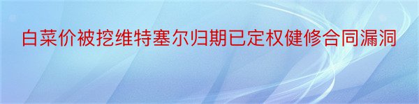 白菜价被挖维特塞尔归期已定权健修合同漏洞