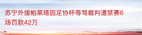 苏宁外援帕莱塔因足协杯辱骂裁判遭禁赛6场罚款42万