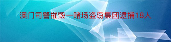 澳门司警摧毁一赌场盗窃集团逮捕18人