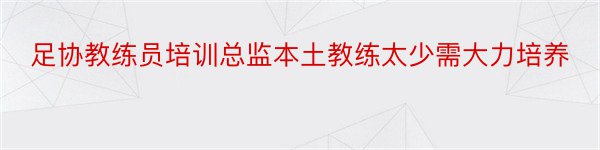 足协教练员培训总监本土教练太少需大力培养