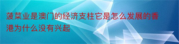 菠菜业是澳门的经济支柱它是怎么发展的香港为什么没有兴起