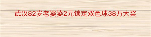 武汉82岁老婆婆2元锁定双色球38万大奖