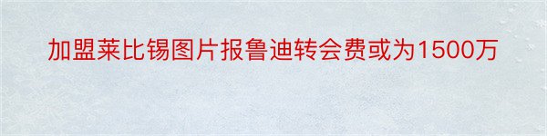 加盟莱比锡图片报鲁迪转会费或为1500万