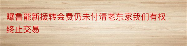 曝鲁能新援转会费仍未付清老东家我们有权终止交易