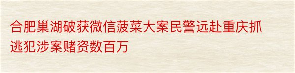 合肥巢湖破获微信菠菜大案民警远赴重庆抓逃犯涉案赌资数百万