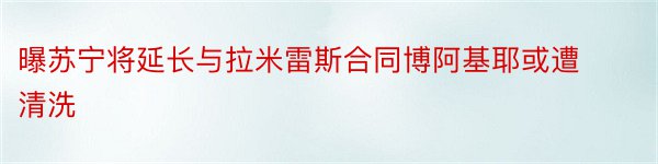 曝苏宁将延长与拉米雷斯合同博阿基耶或遭清洗