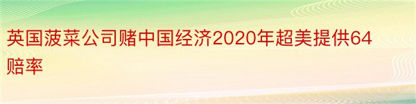 英国菠菜公司赌中国经济2020年超美提供64赔率