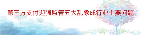 第三方支付迎强监管五大乱象成行业主要问题