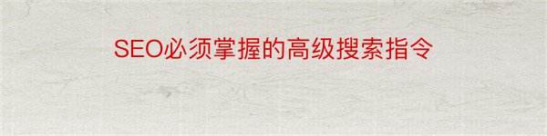 SEO必须掌握的高级搜索指令