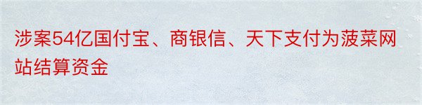 涉案54亿国付宝、商银信、天下支付为菠菜网站结算资金