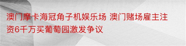 澳门摩卡海冠角子机娱乐场 澳门赌场雇主注资6千万买葡萄园激发争议