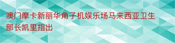 澳门摩卡新丽华角子机娱乐场马来西亚卫生部长凯里指出