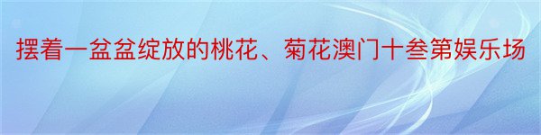 摆着一盆盆绽放的桃花、菊花澳门十叁第娱乐场