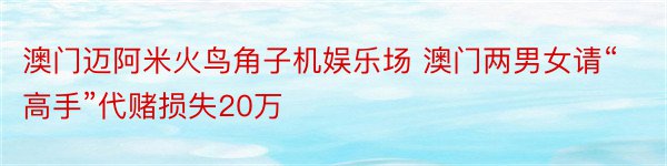 澳门迈阿米火鸟角子机娱乐场 澳门两男女请“高手”代赌损失20万