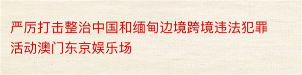 严厉打击整治中国和缅甸边境跨境违法犯罪活动澳门东京娱乐场